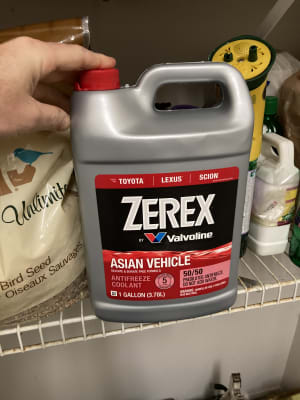 quality merchandise ZEREX 675130 Asian Antifreeze,1 gal.,RTU freebies ...