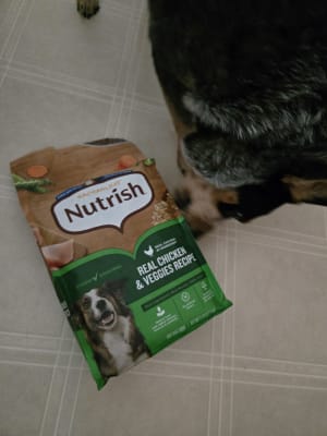 Rachael Ray Nutrish Real Chicken & Veggies Recipe Dry Food for Dogs