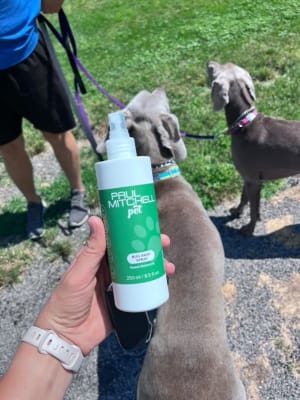 View Gallery Image #4