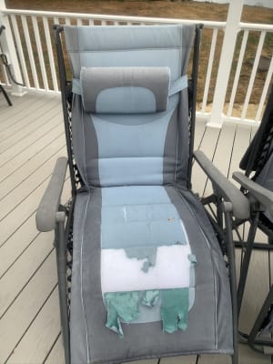 Wilson & fisher black & white hotsell oversized padded canvas gravity lounger