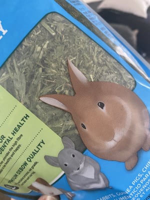 Pets at shop home alfalfa hay
