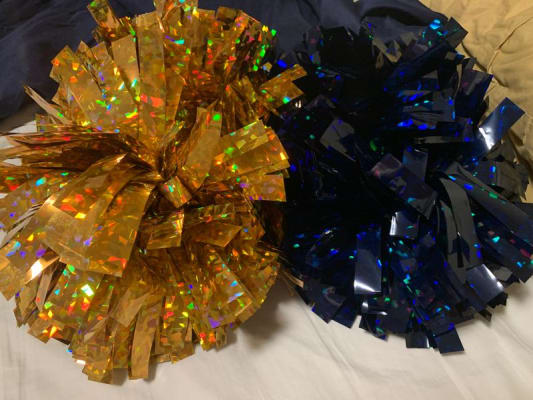 アンプル　POM アンプル POM アンプル POM アンプル POM Z X POM | 1G