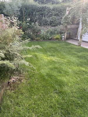 Bosch Rotak 34 R Rotary Lawn Mower Wickes