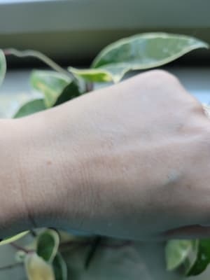 View Gallery Image #5