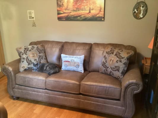 Faux Leather Queen Sofa Sleeper
