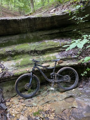 Trance (2021) | Trail bike | Giant 