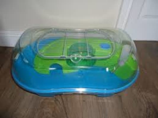 Savic spelos xl entry dwarf hamster and mouse home hot sale