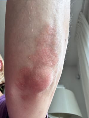 View Gallery Image #2