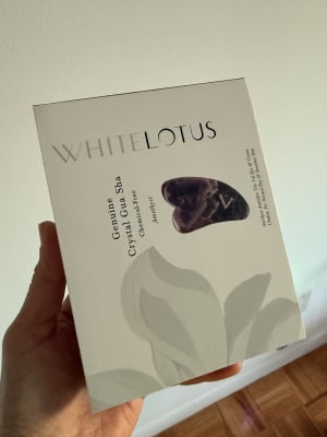 View Gallery Image #6