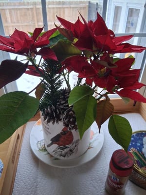 View Gallery Image #1