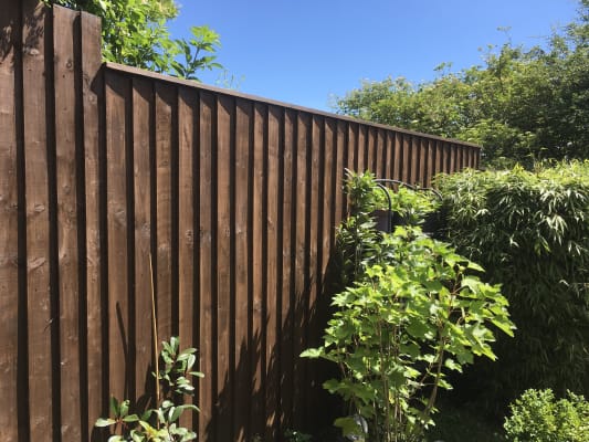 Cuprinol ducksback forest on sale oak