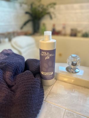 View Gallery Image #4