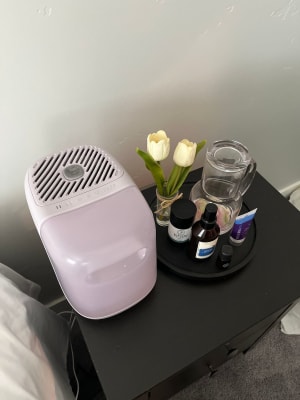 View Gallery Image #5
