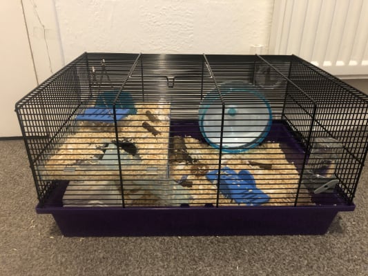 medium hamster cage