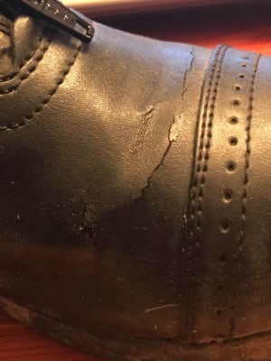 Bottes d'équtaton Saxon Syntova en PU grané | Bottes, Bottes