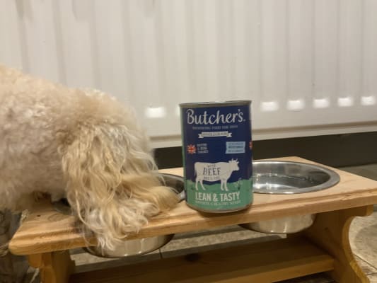 Butchers lean and tasty dog food sales