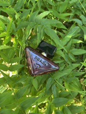 View Gallery Image #1