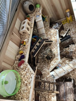 Climb and Hide Small Animal Boredom Breaker Pets At Home