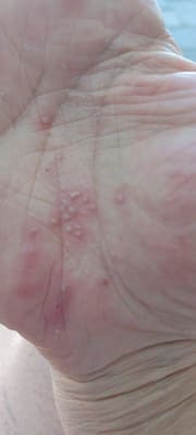 View Gallery Image #7
