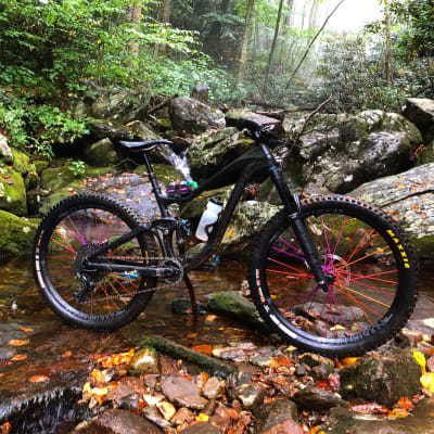 2020 liv intrigue advanced 1