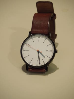 Skagen 6374 new arrivals