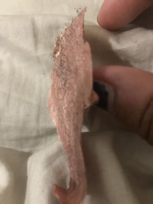 View Gallery Image #7