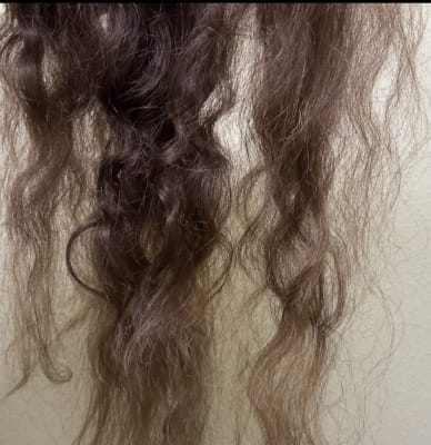 View Gallery Image #9