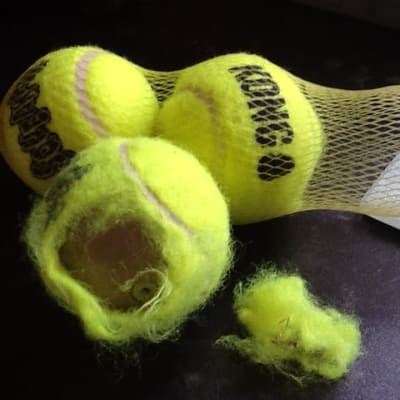 Kong toy with tennis ball inside online