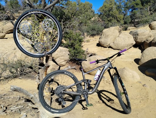 Trance X (2024) Trail bike Giant Bicycles US