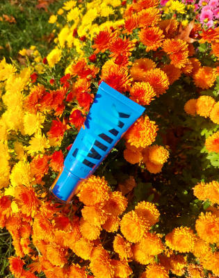 View Gallery Image #5