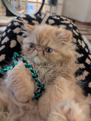 View Gallery Image #2