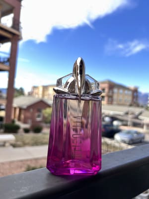 View Gallery Image #9