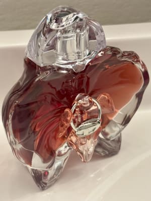 View Gallery Image #5