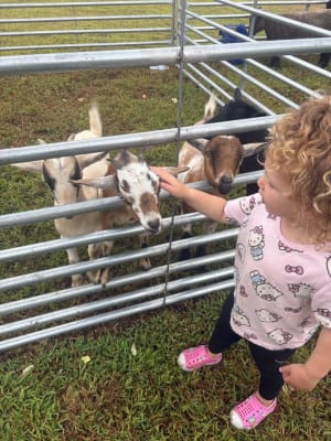 View Gallery Image #1