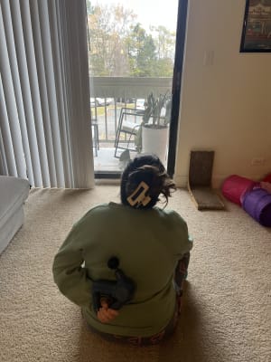 View Gallery Image #3