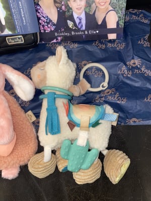 Link Love Teething Activity Toy Itzy Ritzy