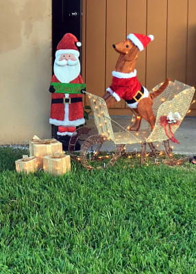 Big lots dog christmas decorations Clearance