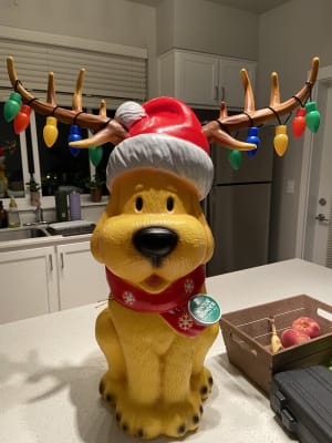 Dog christmas blow mold clearance