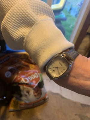 Lyla Three-Hand Date Stainless Steel 