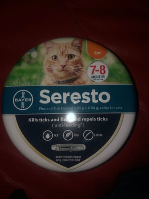 Cheapest seresto for deals cats
