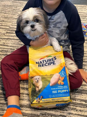 Nature's recipe large breed puppy food new arrivals