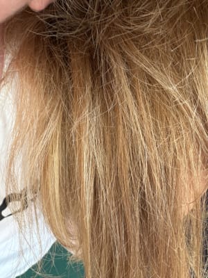 View Gallery Image #15