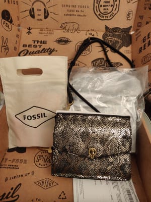 Stevie best sale crossbody fossil