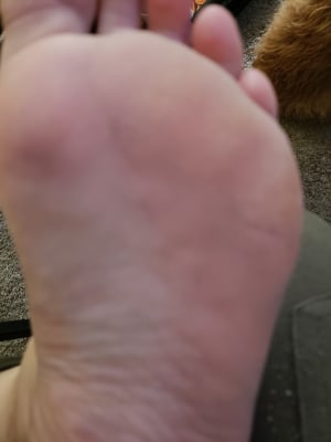 View Gallery Image #4