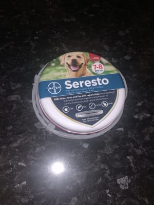 Pets at sale home seresto