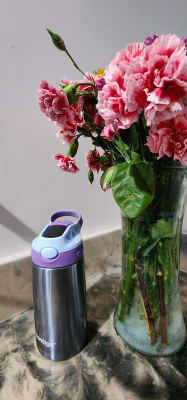 Contigo Kids Water Bottle with Autospout Straw, Lavender and Pink, 14 fl  oz. - Yahoo Shopping