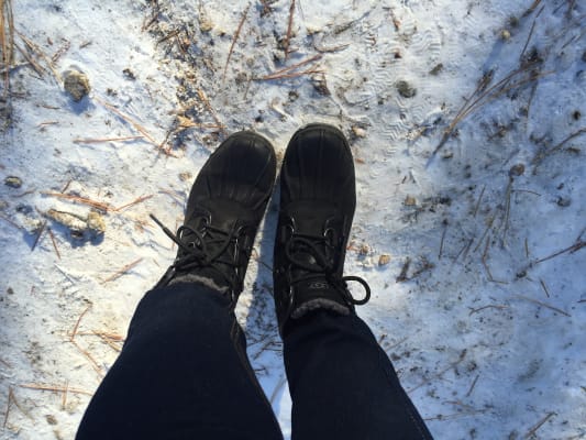 Ugg cecile sales winter boot