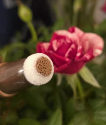 View Gallery Image #6