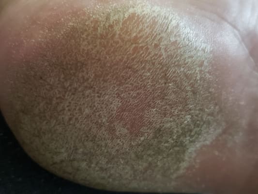 View Gallery Image #5