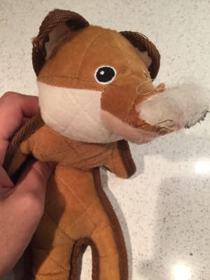 Wainwright S Ruff And Tuff Fox Dog Toy Large Pets At Home